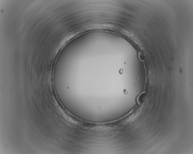 X0000076401033200610271613