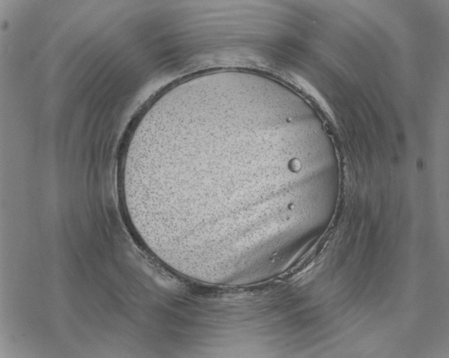 X0000076401035200610271613