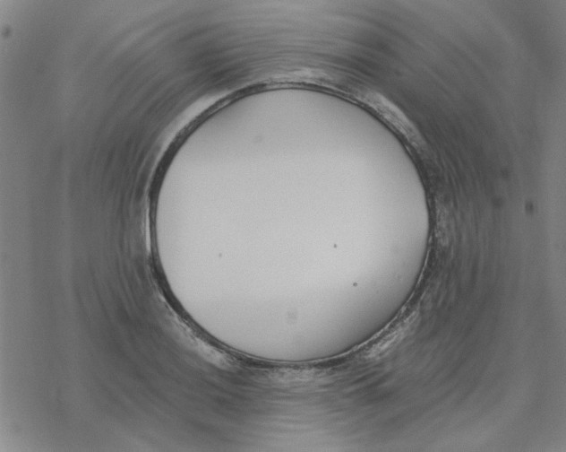 X0000076401036200610271613