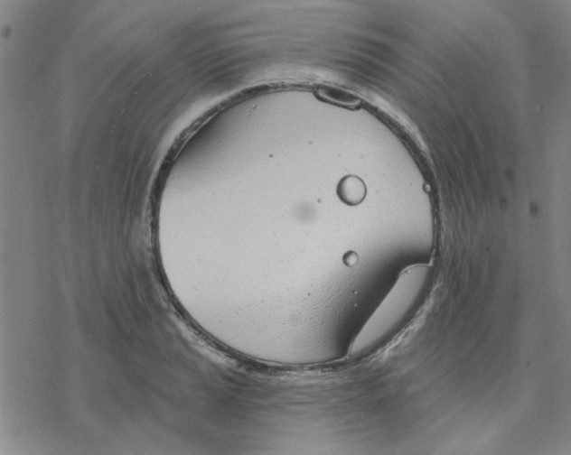 X0000076401037200610271613