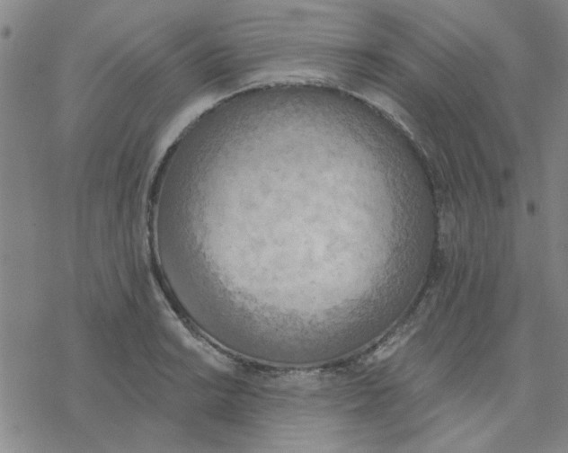 X0000076401038200610271613