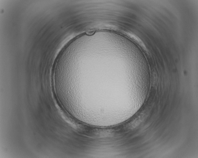 X0000076401039200610271613