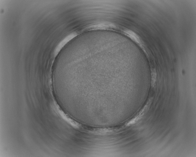 X0000076401042200610271613