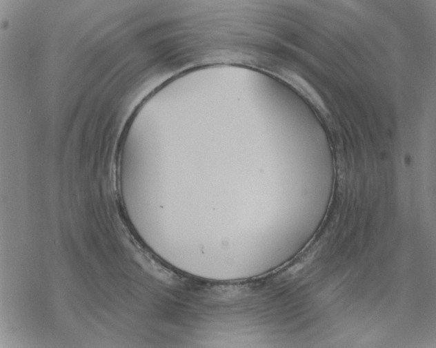 X0000076401044200610271613