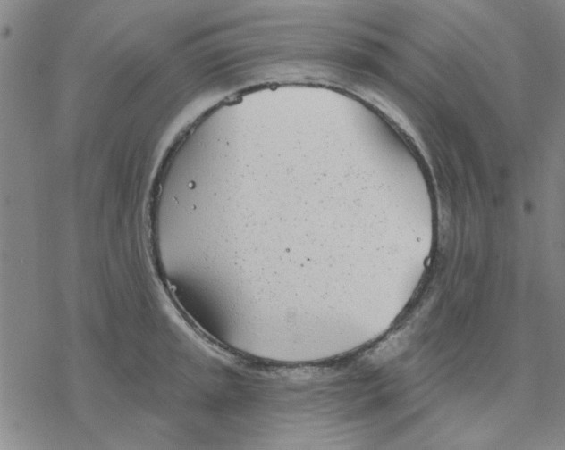 X0000076401045200610271613