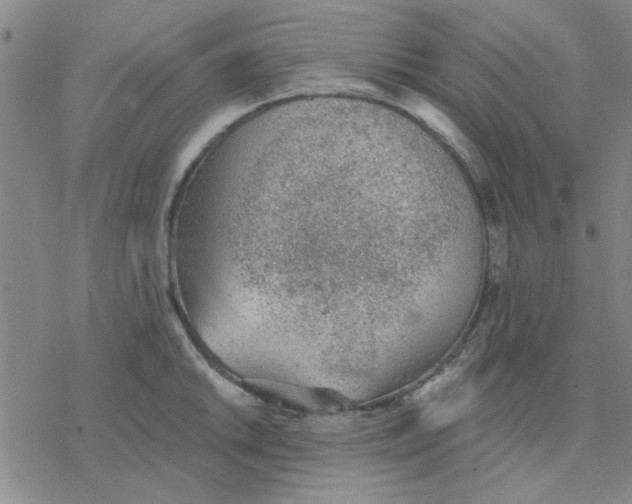 X0000076401046200610271613