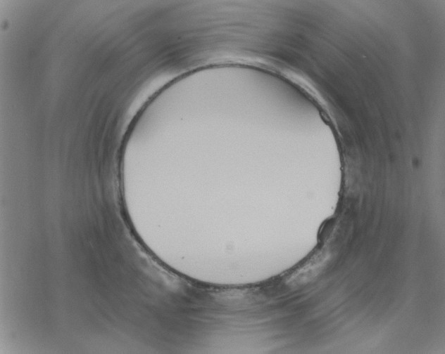 X0000076401048200610271613