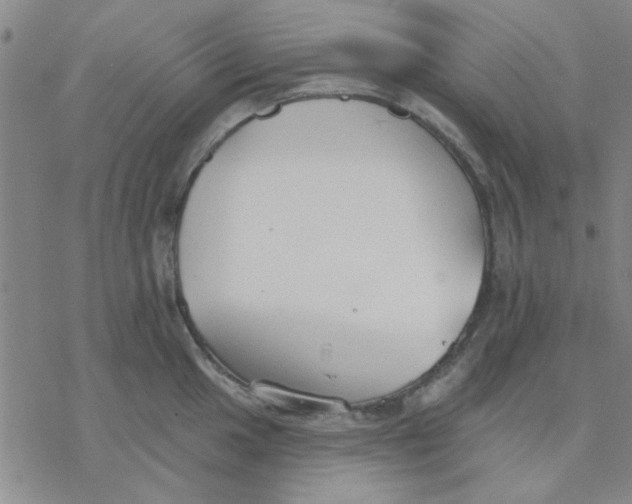 X0000076401049200610271613