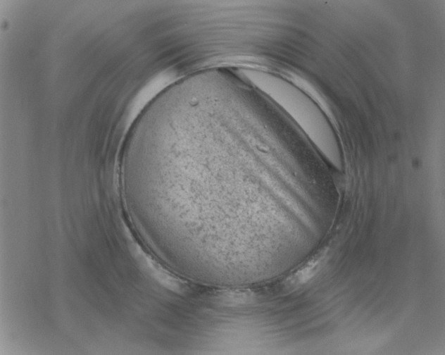 X0000076401050200610271613