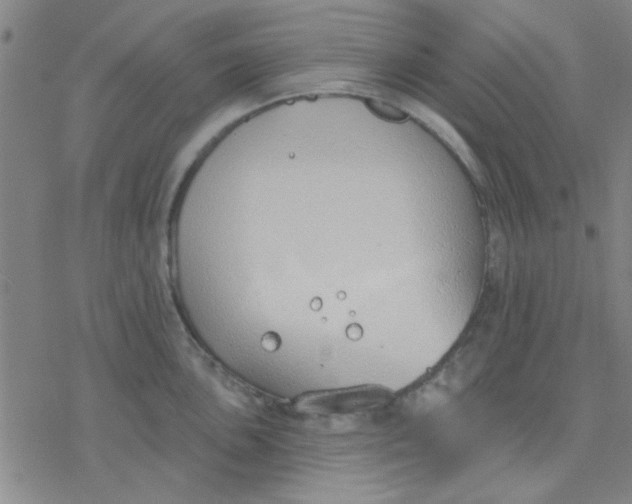 X0000076401051200610271613