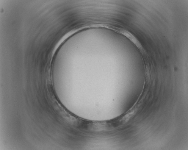 X0000076401052200610271613