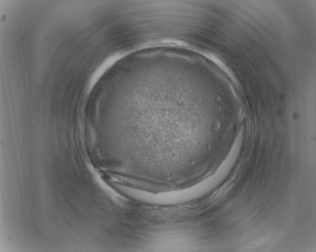 X0000076401054200610271613