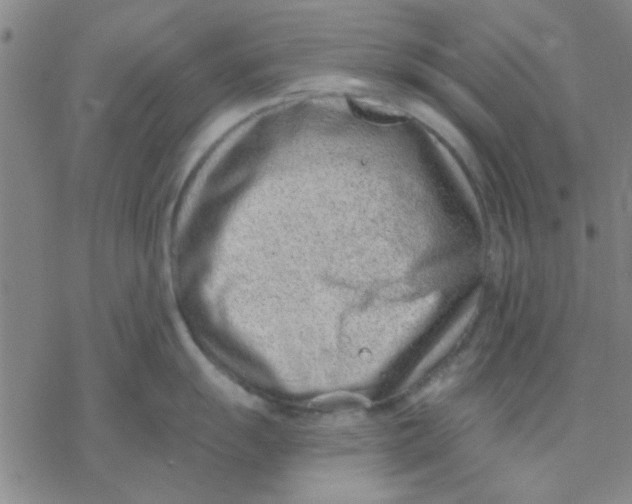 X0000076401055200610271613