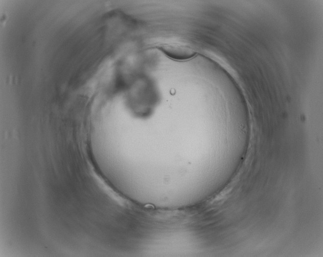 X0000076401056200610271613