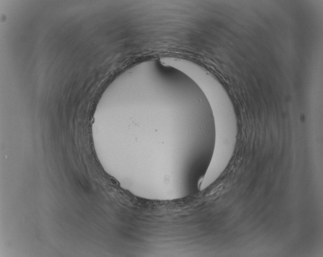 X0000076401057200610271612