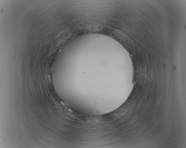 X0000076401058200610271612