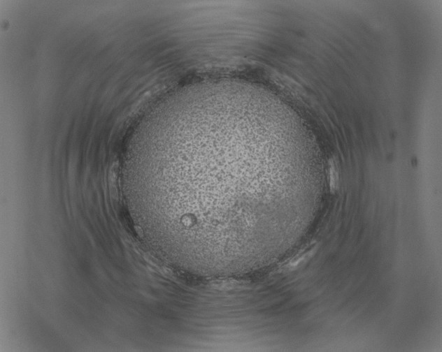 X0000076401059200610271612