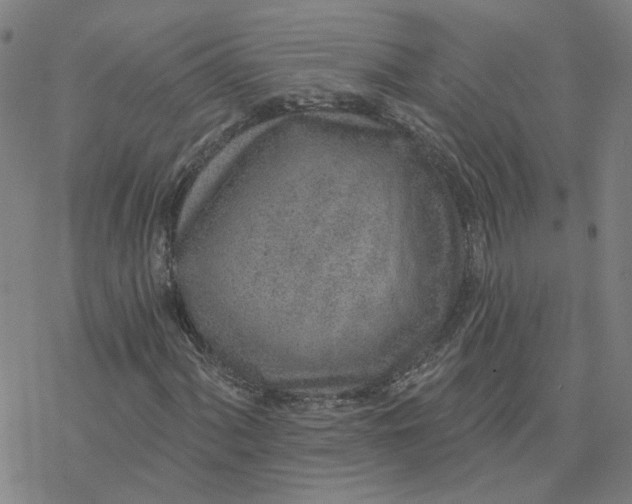 X0000076401060200610271612