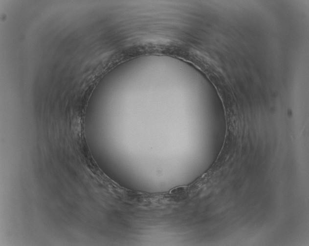 X0000076401061200610271612