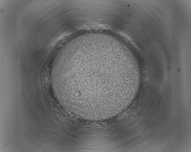 X0000076401063200610271612