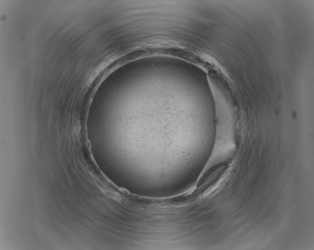 X0000076401065200610271612