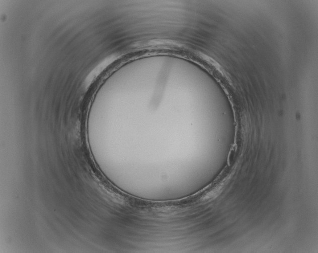 X0000076401066200610271612