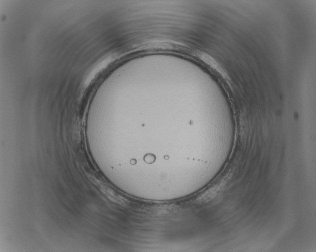 X0000076401067200610271612