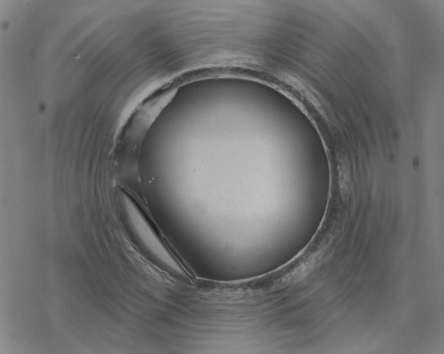 X0000076401069200610271612