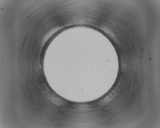 X0000076401070200610271612