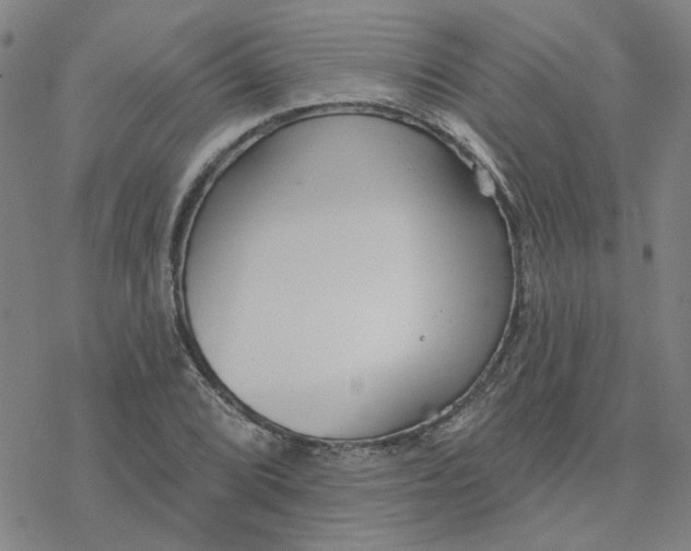 X0000076401072200610271612