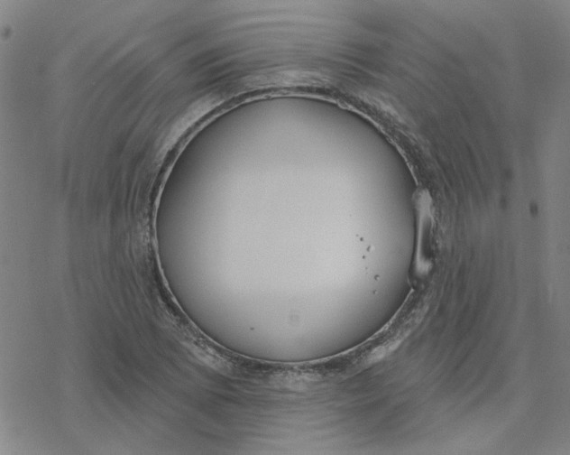 X0000076401073200610271612