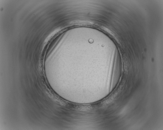 X0000076401074200610271612