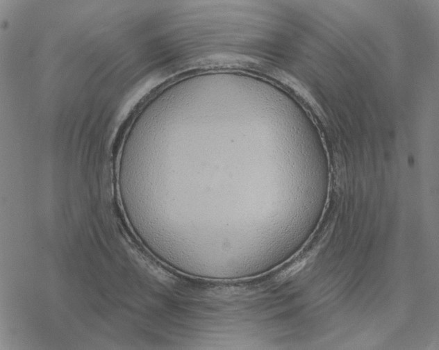 X0000076401075200610271612