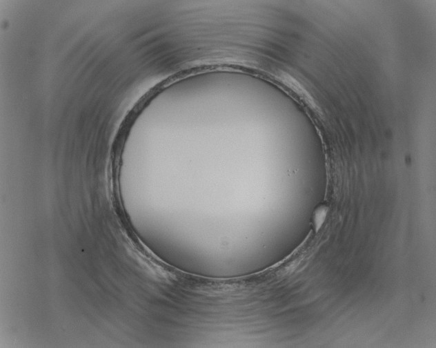 X0000076401076200610271612