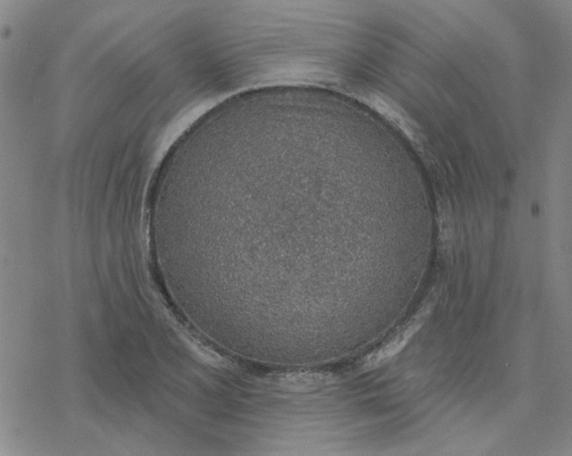 X0000076401077200610271612