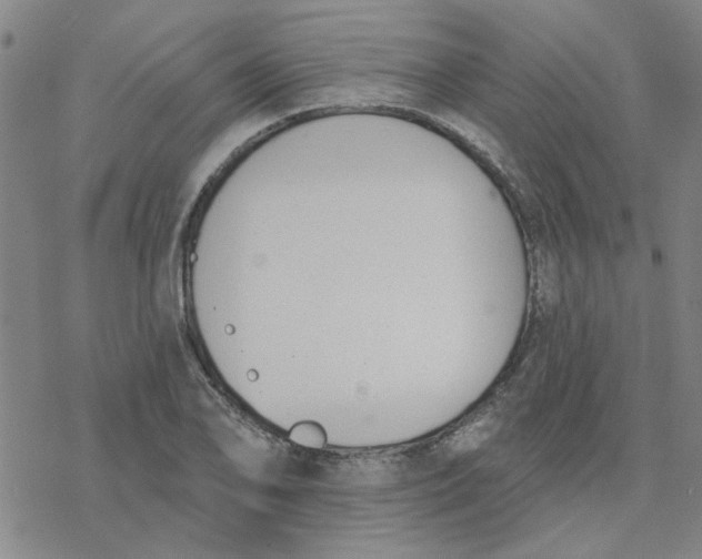 X0000076401078200610271612