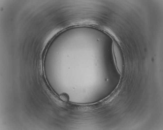 X0000076401079200610271612