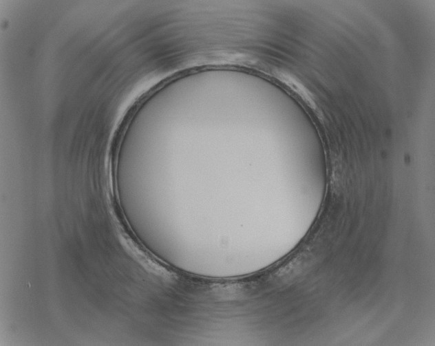 X0000076401080200610271612