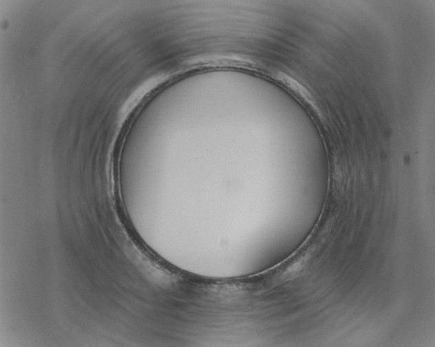 X0000076401082200610271612