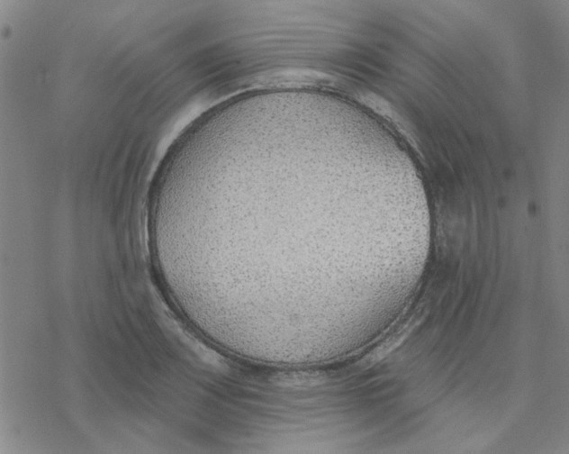 X0000076401083200610271612