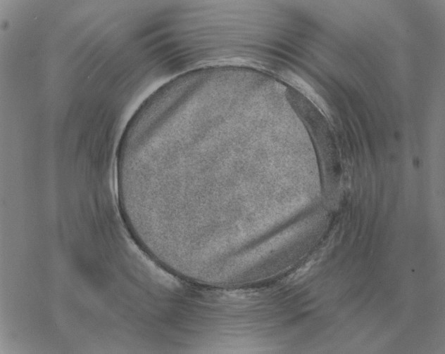 X0000076401084200610271612