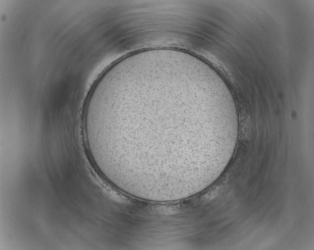 X0000076401086200610271612