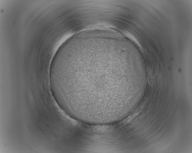 X0000076401087200610271612