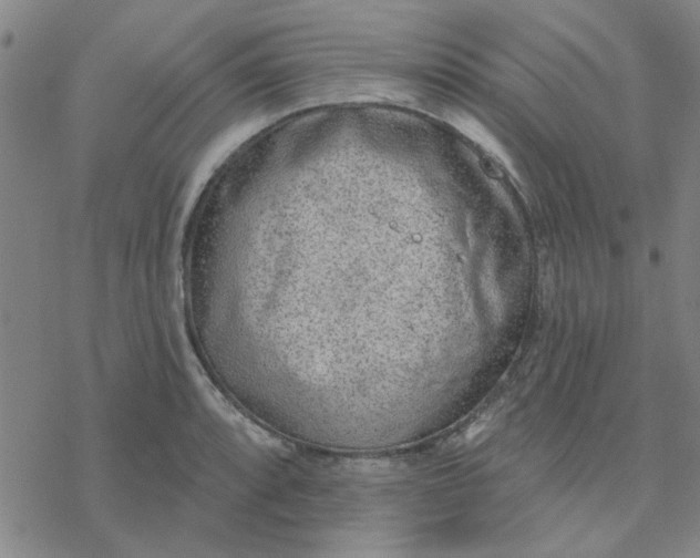 X0000076401088200610271612