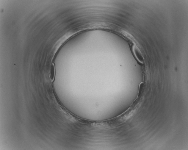 X0000076401089200610271612