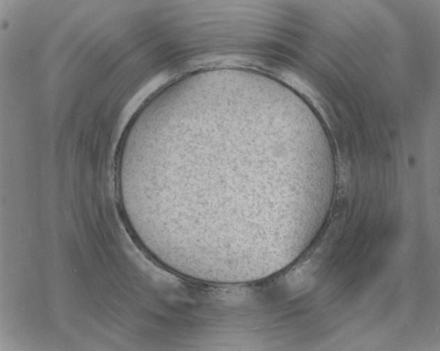 X0000076401090200610271612