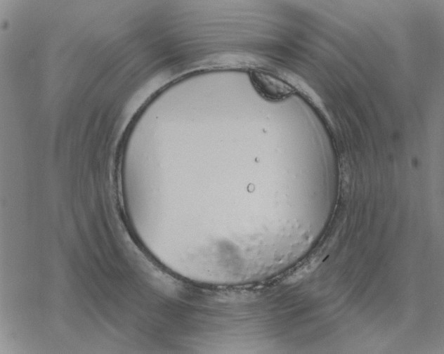 X0000076401091200610271612