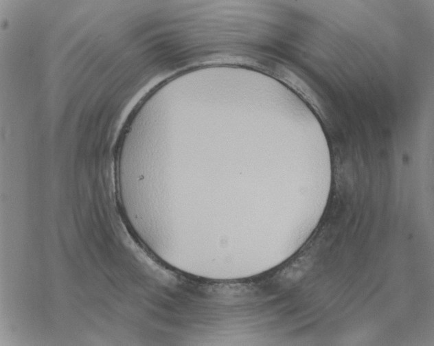 X0000076401092200610271612