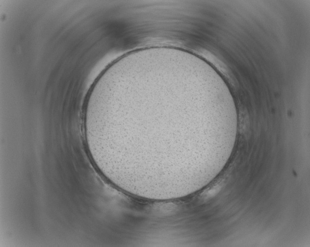 X0000076401094200610271612