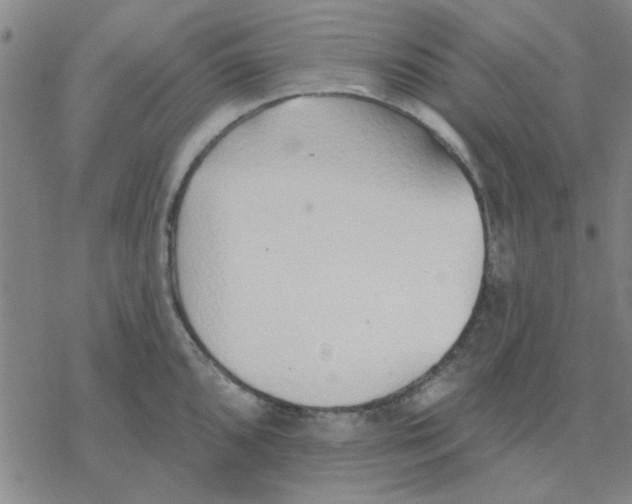 X0000076401096200610271612